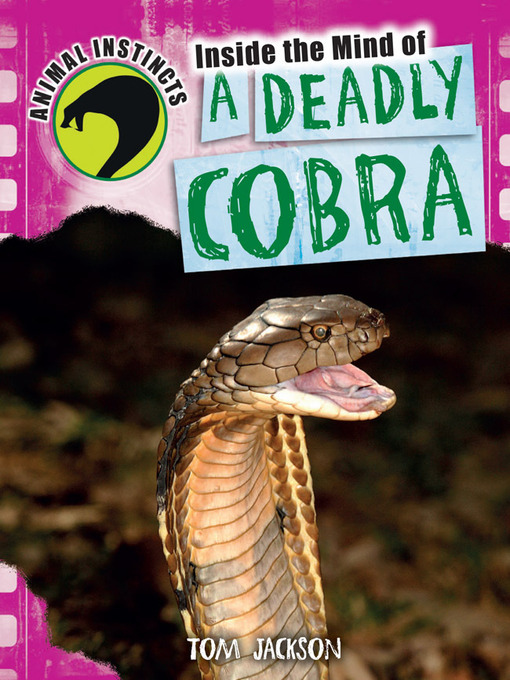 Cover image for Inside the Mind of a Deadly Cobra